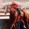 SISTINA_miyabi9's profile picture. 競馬専用アカウント。ベガ、ウイニングチケットがクラシックを走っていた頃に競馬を始めました。現在はサイン読みで豆馬券を買って楽しんでいます。候補の数字はそこそこ来ますが、馬券はかなり下手です。大好きだったシスティーナの名前を使わせてもらっています。