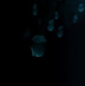 StfuuPleasee's profile picture. The most socially awkward person you'll ever have the dishonour to meet