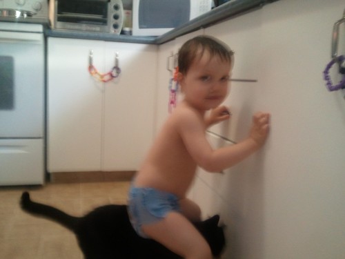 goodrob's profile picture. Dad, husband, cat wrangler, geek.