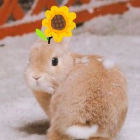 ayaya1005xfx (@ayaya10052) 's Twitter Profile Photo