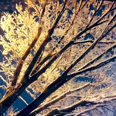 ami0102hi's profile picture. 思い出くらいは綺麗に残ってて欲しい