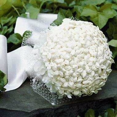 KabranEmma's profile picture. 