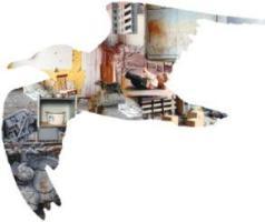 dc_pop's profile picture. 東京を拠点に活動する劇団DULL-COLORED POP（だるからーどぽっぷ）、通称ダルカラ 公式アカウント。⚠️お問い合わせは、Twitter DMでなく、info@dcpop.orgまでご連絡下さい⚠️