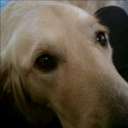 Lisa Dinsmore - @dinsy1234 - Twitter