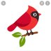Cardinal Kinder Class (@cardinal_spi) Twitter profile photo Cardinal Kinder Class (@cardinal_spi) Twitter profile photo