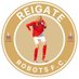 Reigate Robots (@ReigateRobots) Twitter profile photo