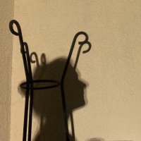 Sveva Magaraggia (@svevamaga) 's Twitter Profile