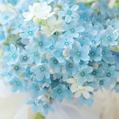 koko_0810_jump's profile picture. ❤︎中島裕翔❤︎ 一瞬も一生も共に… ☆☆☆☆俳優 中島裕翔を全力で応援 裕翔くんOnly JUMP担✖️