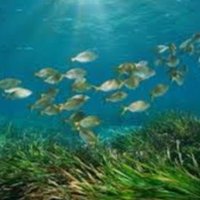 Alexandra Klusmann (@msklusmann) 's Twitter Profile