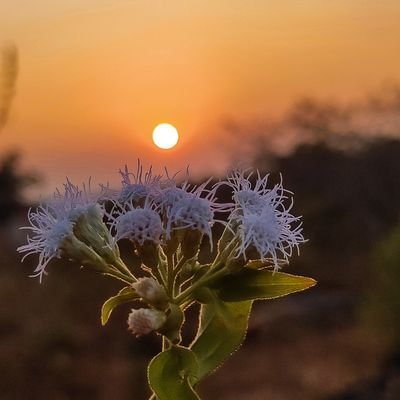 Johnremo32's profile picture. Crypto Trader And Meme Creator