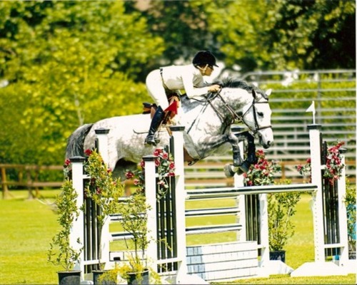 SteelGateFarm's profile picture. Hunters Jumpers and Equatation