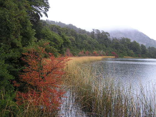 LouisPalmerOK's profile picture. 