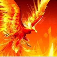 Morenu02 (@morenu02) 's Twitter Profile