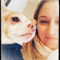 Angela ❤s 🐶🐾 and Misses 🐱(@MrsBarnett_Tchr) 's Twitter Profile Photo