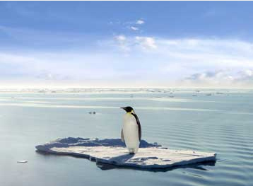 greencoolingass's profile picture. Voice of Green Cooling Association Inc