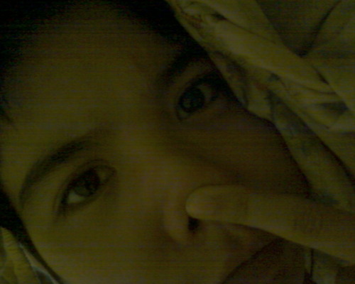 lzlzngocnguyen's profile picture. 