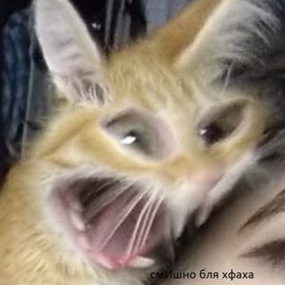 ________connie's profile picture. die xoxo