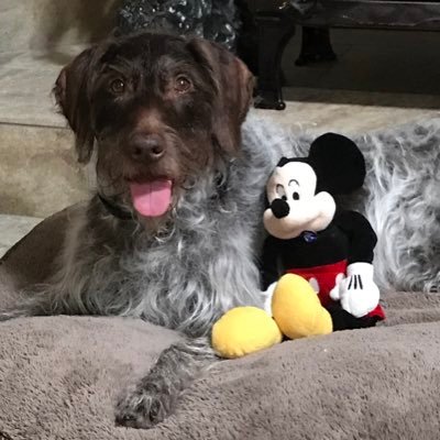 fieldandco's profile picture. 