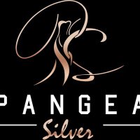 Pangea Silver(@PangeaSilver) 's Twitter Profile Photo