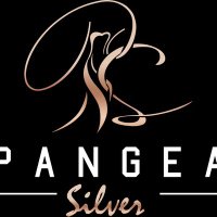 Pangea Silver (@pangeasilver) 's Twitter Profile