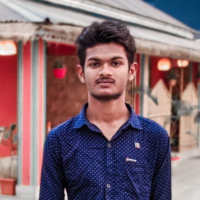 DeveloperFaysal's profile picture. Professional Web Developer