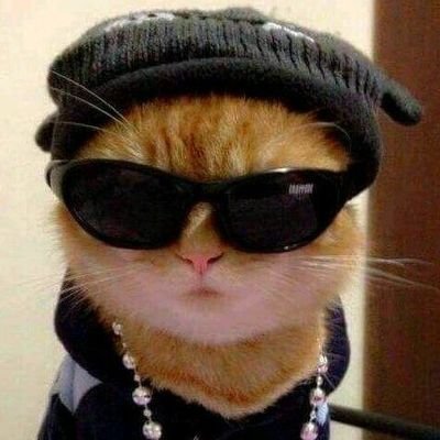 visekiraj's profile picture. 