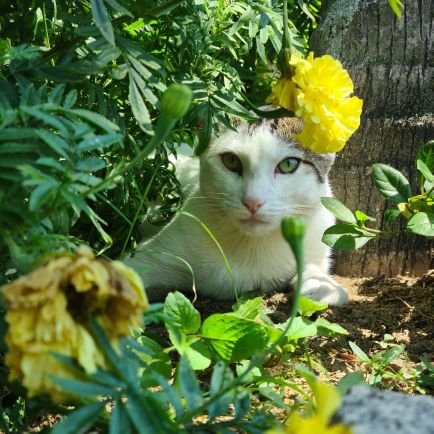 jssjnssjsj's profile picture. ...