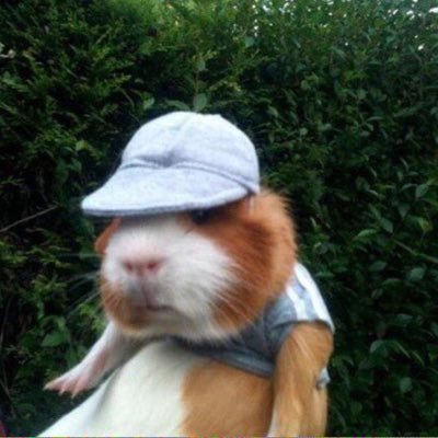 Court_000's profile picture. 