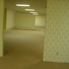 spider_content's profile picture. .gg/RnGdEFzPwd