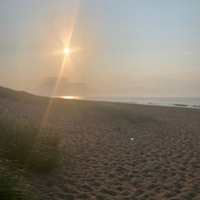 CT_Hasselhoff21's profile picture. 