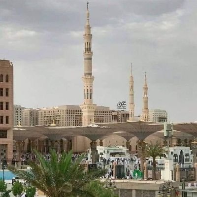 تغطية أخبار #وزارة_البيئة_والمياه_والزراعة بمنطقة #المدينة_المنورة