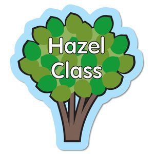 Find out about the exciting things happening in Year 4 (Hazel Class) at Necton C of E Primary School