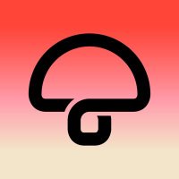 Mushroom (@mushroomgroup) 's Twitter Profile