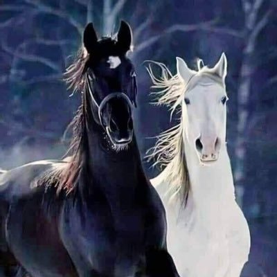 willpower1005's profile picture. Je leven leven met weinig energie