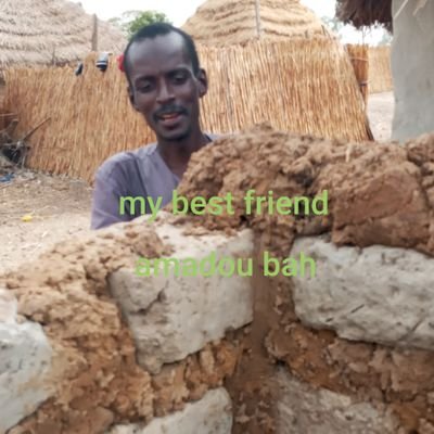 msambasey2's profile picture. 