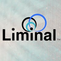 Liminal(@LiminalStrategy) 's Twitter Profile Photo