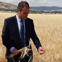 Murat TÜRKMEN (@muratturkmen46) 's Twitter Profile Photo