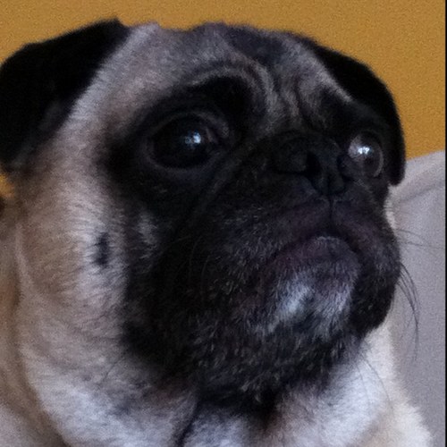 ScottFodness's profile picture. 