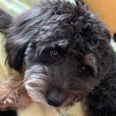 HamannsWorld's profile picture. 