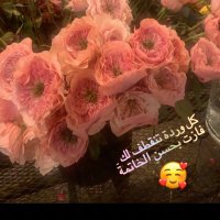 بسمة(@BasmaF710) 's Twitter Profile Photo