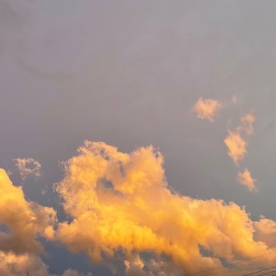 pdP2YsFqXRILXCM's profile picture. 45さい