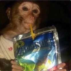 monkeym62757456's profile picture. 