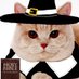 Just a Guy (@familyandempire) Twitter profile photo Just a Guy (@familyandempire) Twitter profile photo