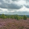 heather_c_c's profile picture. Green Party member. We won't survive without Green policies. Our NHS matters more than any party. ❤ Peak District     🐤 🌼 🌳 🚲  #sodden570