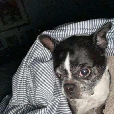 ChristiDubois70's profile picture. 