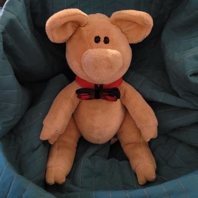 A sassy piggy who gets into mischief more than I should 🐷