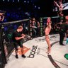 StrabanimalMMA's profile picture. professional MMA fighter for @bellator. going to own the game one day.