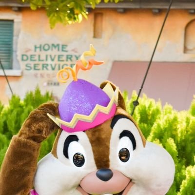 jpmwmwp5's profile picture. 自由人 || いろんなこと呟いてる 
やっぱディズニーが好き |nikon| 00line