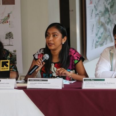 Mazateca, Oaxaqueña 🇲🇽
🕊️ One Young World Ambassador
☀️ Premio Nacional Atenea 2021 
🙌 Presidenta Nacional del CONSEPP del Imjuve de 2021.