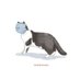 gray cat :D (@kucing_abu_bu) Twitter profile photo gray cat :D (@kucing_abu_bu) Twitter profile photo